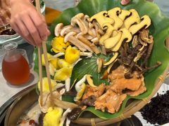-大理董·董家小厨野生菌火锅(古城旗舰店)
