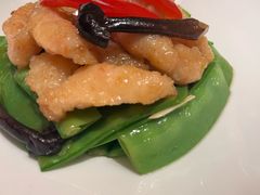 -觅唐MITONG(鸟巢店)