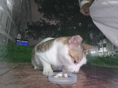 -伍哥厨房(新滘东路店)