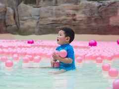 -杭州开元森泊度假乐园