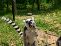 -杭州野生动物世界