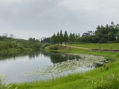 -眉山湿地公园(东坡区)