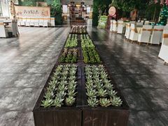 -元鼎宝驴香·全驴宴(江宁店)