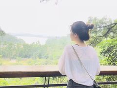 -深圳仙湖植物园-停车场