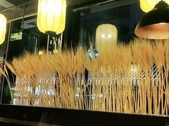 -锅哥有料老火锅(金港国际店)