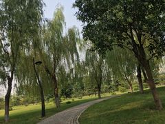 -洨河生态公园