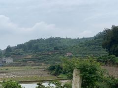 -大姆山草场