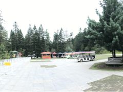 -五营红松林海景区