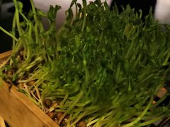 活体豆苗-凤园椰珍·臻品椰子鸡(保利时光里店)