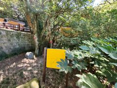 -普陀山风景区-佛顶山