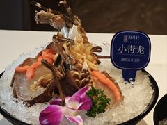 -海月轩海鲜豆捞(紫金塔店)