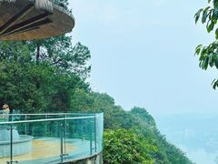 -铁山坪森林公园