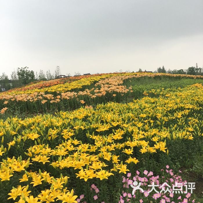 苏州太湖园博园图片-北京植物园-大众点评网