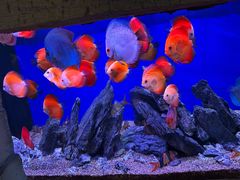 -威海华夏城景区