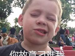 -清真·老金烧烤·小龙虾(奥体中路店)