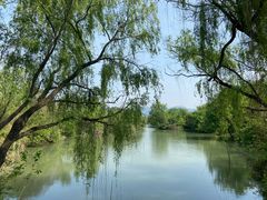 -西溪国家湿地公园