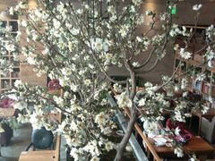大堂-山有花啡餐厅(常营总店)