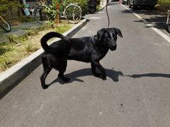 -爱侣宠医·鹦鹉专科·小型哺乳类·异宠专科(灵石路店)