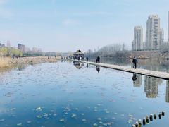 -前关湿地公园