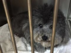 -惠康宠物医院(华能路店)