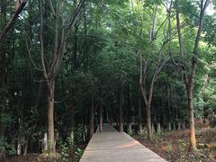 -南昌动物园