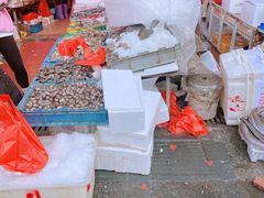 -芦潮港集贸市场