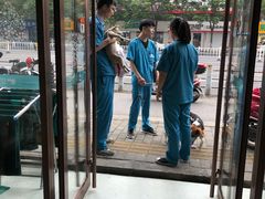 -安安宠医·安宠宠物医院