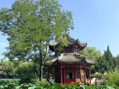 -莲池书院博物馆