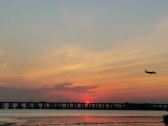 -宝安西湾红树林湿地公园