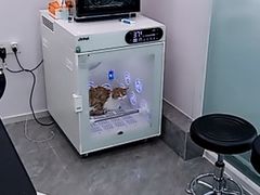 -爱洗澡的猫(望京店)