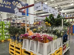 -山姆会员商店(亦庄创意生活广场店)