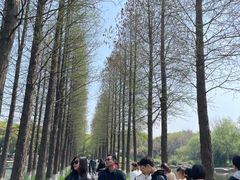 -圩墩遗址公园