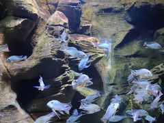 -成都浩海立方海洋公园