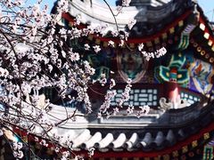 -颐和园