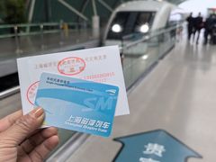 -龙阳路磁悬浮列车总站-停车场