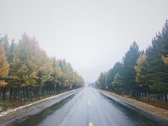 -乌兰布统草原