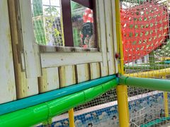 -南宫五洲植物乐园