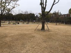 -新江湾城公园