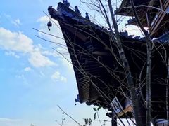 -杭州半山国家森林公园