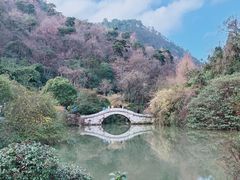 -黔灵山公园
