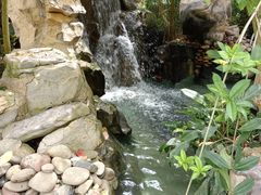 -南山植物园