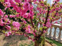 -马栏河运动公园