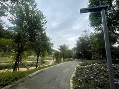 -梧桐山风景名胜区