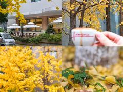 -Beans Solo豆号咖啡(百家湖花园店)