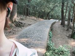 -紫金山山顶公园