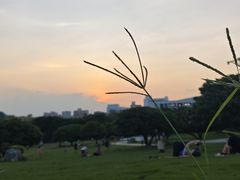 -红花山公园