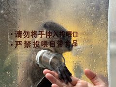 -波塞冬旅游度假区