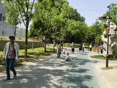 -回龙观体育文化公园