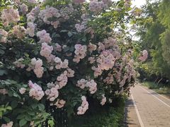 -中卫御苑福膳·养生局(圆明园店)