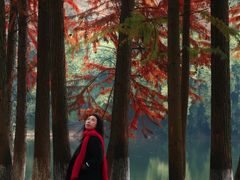-重庆彩云湖湿地公园